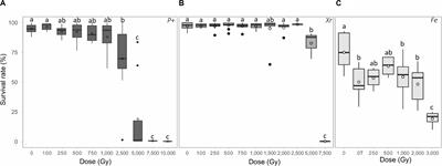 Iron Ladies – How Desiccated Asexual Rotifer Adineta vaga Deal With X-Rays and Heavy Ions?